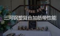 三河鋼塑復合加筋帶性能