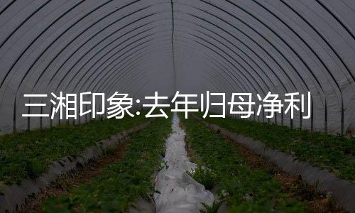 三湘印象:去年歸母凈利潤約2995萬元,土地儲備僅剩兩個項目