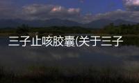 三子止咳膠囊(關于三子止咳膠囊簡述)