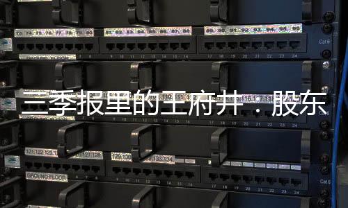 三季報里的王府井：股東減持、利潤下滑