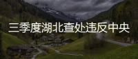 三季度湖北查處違反中央八項(xiàng)規(guī)定精神問(wèn)題1983起