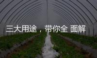 三大用途，帶你全 面解讀康貝萊超級OSB板