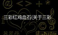 三彩紅雞血石(關(guān)于三彩紅雞血石簡述)