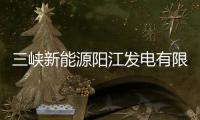三峽新能源陽江發(fā)電有限公司(關(guān)于三峽新能源陽江發(fā)電有限公司簡述)