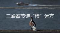 三峽奉節詩“橙”遠方
