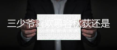 三少爺喜歡慕容秋荻還是小麗