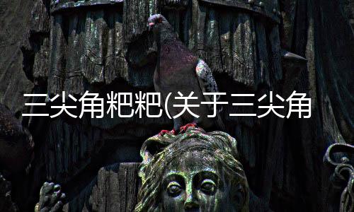 三尖角粑粑(關(guān)于三尖角粑粑簡述)