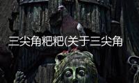 三尖角粑粑(關(guān)于三尖角粑粑簡(jiǎn)述)