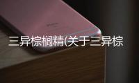 三異棕櫚精(關(guān)于三異棕櫚精簡述)