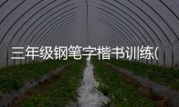 三年級鋼筆字楷書訓練(關于三年級鋼筆字楷書訓練簡述)