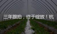 三年跟拍，終于綻放！杭州亞運會開閉幕式官方紀錄片今起播出