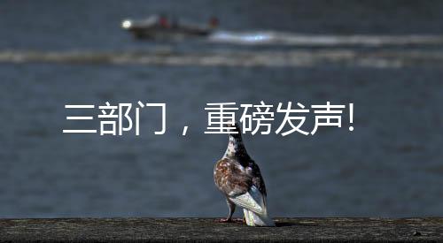 三部門，重磅發聲!