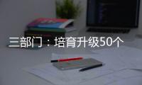 三部門：培育升級50個規模300億元以上輕工特色產業集群