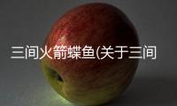 三間火箭蝶魚(關于三間火箭蝶魚簡述)