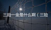 三險一金是什么啊（三險一金是什么）