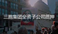 三胞集團全資子公司質押王府井11.25%股權