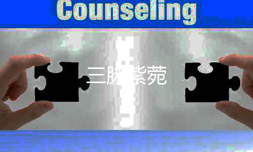 三脈紫菀