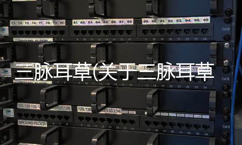 三脈耳草(關于三脈耳草簡述)