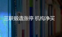 三聯鍛造漲停 機構凈買入5225萬元