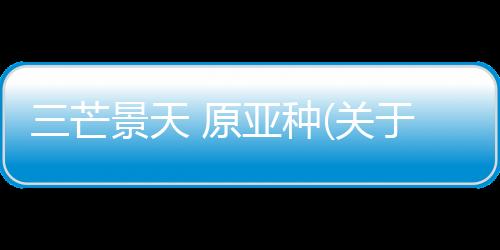 三芒景天 原亞種(關于三芒景天 原亞種簡述)