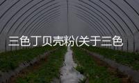 三色丁貝殼粉(關于三色丁貝殼粉簡述)
