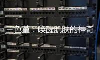 三色堇：喚醒肌膚的神奇之花