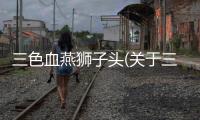 三色血燕獅子頭(關(guān)于三色血燕獅子頭簡述)
