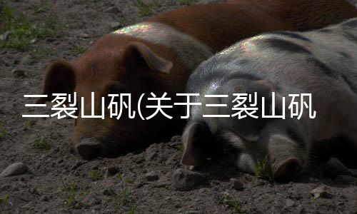 三裂山礬(關于三裂山礬簡述)