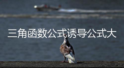 三角函數(shù)公式誘導(dǎo)公式大全