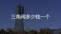 三角閥多少錢一個