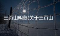 三頁山明墓(關于三頁山明墓簡述)