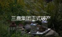 三鹿集團正式破產