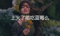 上火了能吃藍(lán)莓么