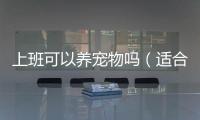 上班可以養(yǎng)寵物嗎（適合上班族養(yǎng)的5種寵物）