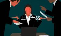 上班一豬