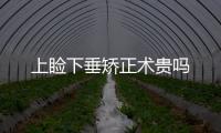 上瞼下垂矯正術貴嗎