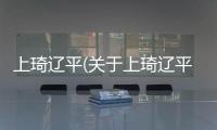 上琦遼平(關于上琦遼平簡述)