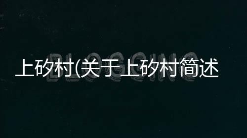 上矽村(關于上矽村簡述)