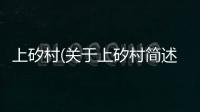 上矽村(關于上矽村簡述)