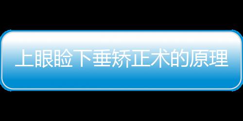 上眼瞼下垂矯正術的原理是什么？