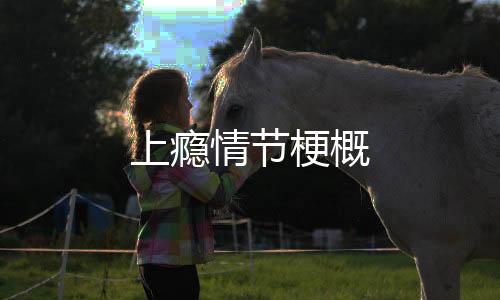 上癮情節(jié)梗概