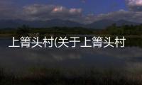 上箐頭村(關(guān)于上箐頭村簡述)