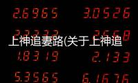 上神追妻路(關(guān)于上神追妻路簡述)
