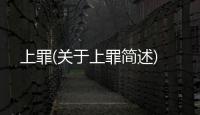 上罪(關(guān)于上罪簡(jiǎn)述)