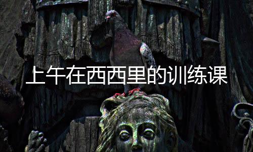 上午在西西里的訓練課
