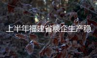 上半年福建省糧企生產穩中向好