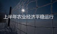 上半年農業經濟平穩運行：夏糧產量創歷史新高，豬價上漲1.4%