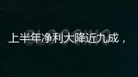 上半年凈利大降近九成， “面板一哥”何時走出“陰影”？