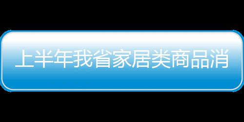 上半年我省家居類商品消費火爆 銷售同比增長19倍