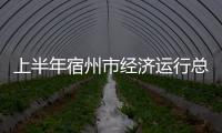 上半年宿州市經濟運行總體平穩(wěn)